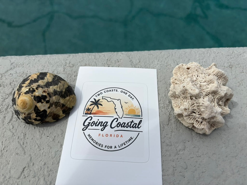 Going Coastal Florida 2 Coasts Vinyl Decal — Kiss-Cut Beach Sticker